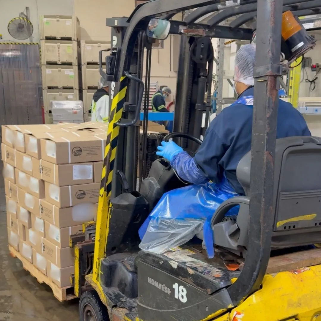 Boxes of sockeye fillets stacked and ready to wrap on the pallet