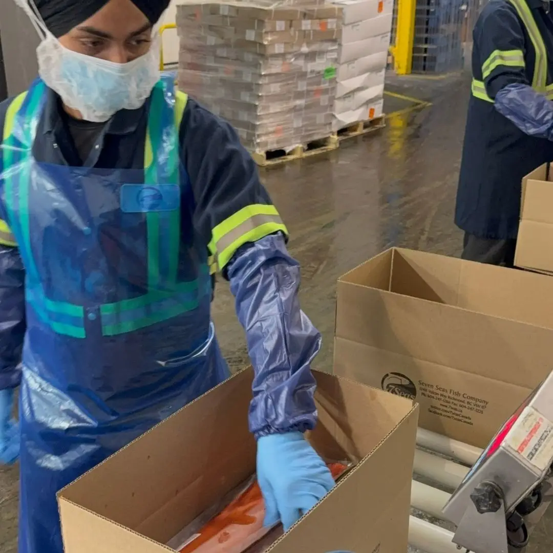 Boxing frozen sockeye salmon fillets at the 7 Seas plant in Richmond, BC