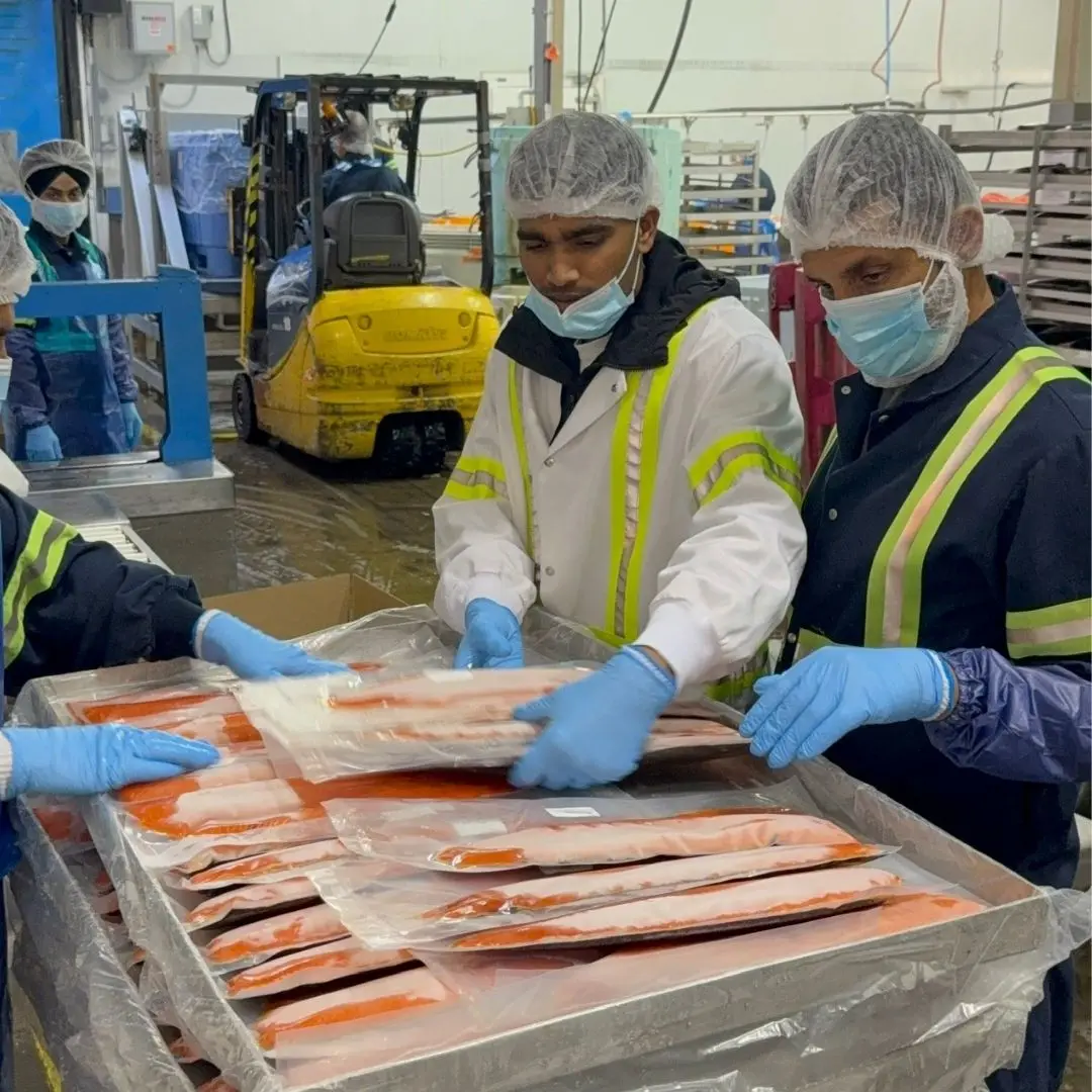 De-racking frozen sockeye salmon fillets before boxing