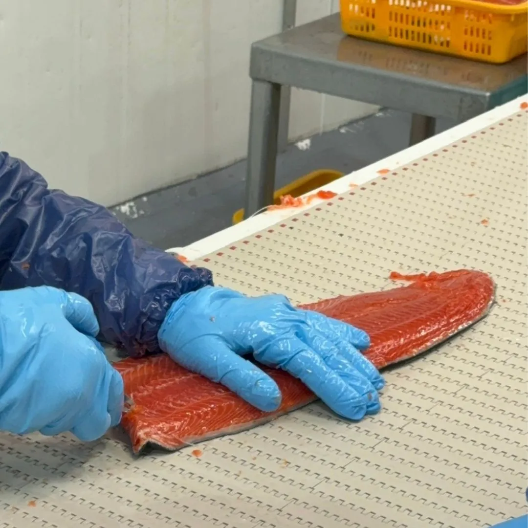 Removing remaining pin bones from a sockeye fillet by hand