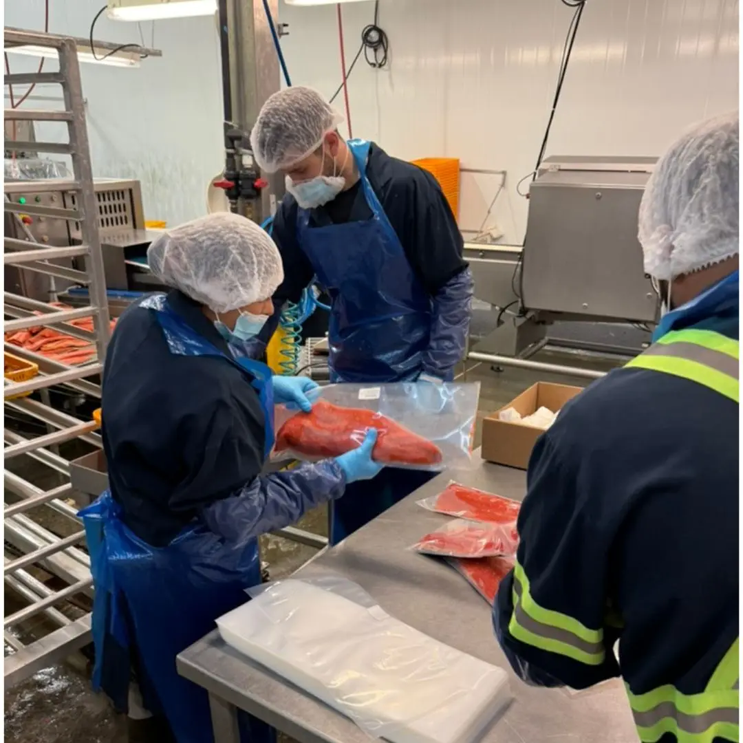 Team members inspecting a vacuum-packed sockeye salmon fillet on the packing line