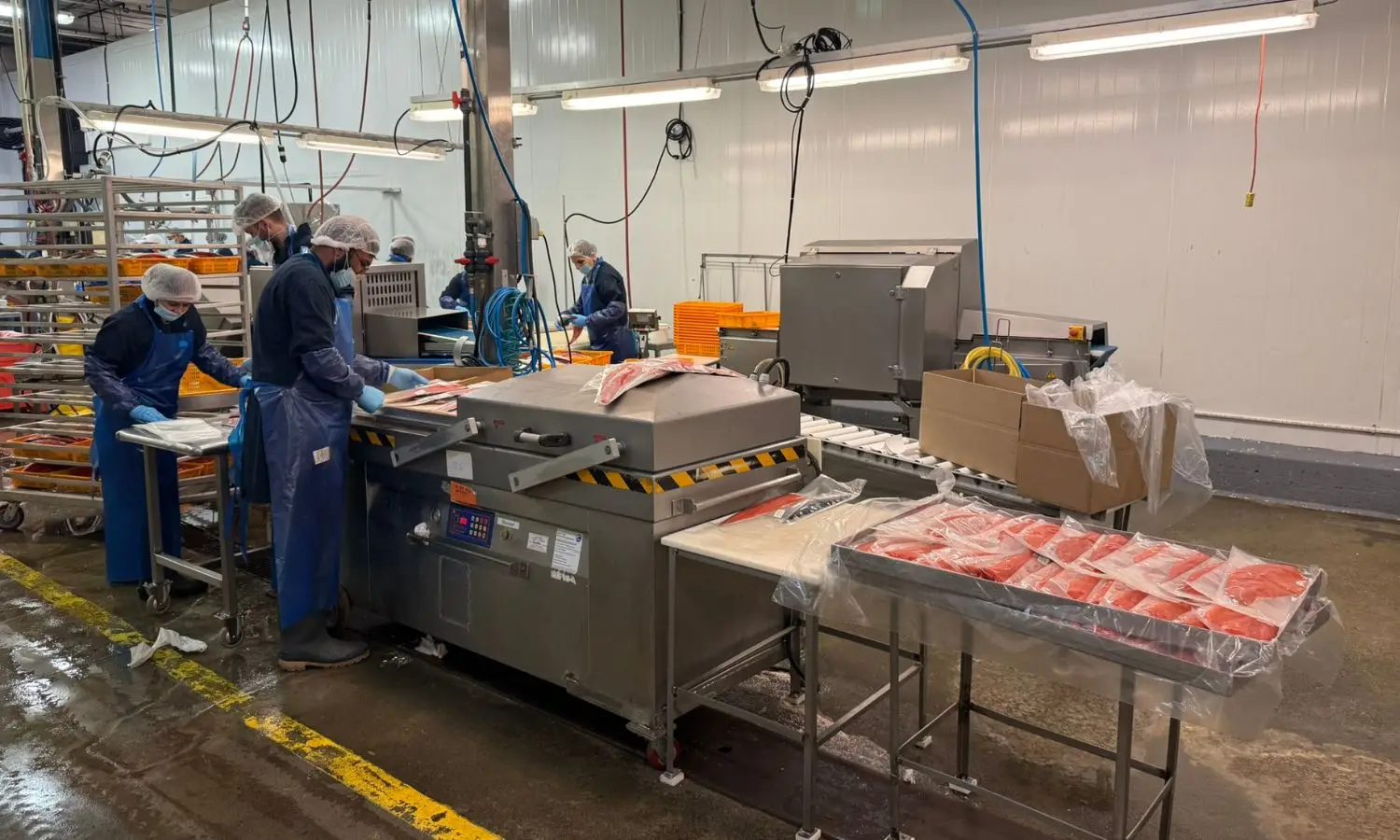 The team vacuum-packs and racks sockeye fillets at 7 Seas' Richmond processing plant