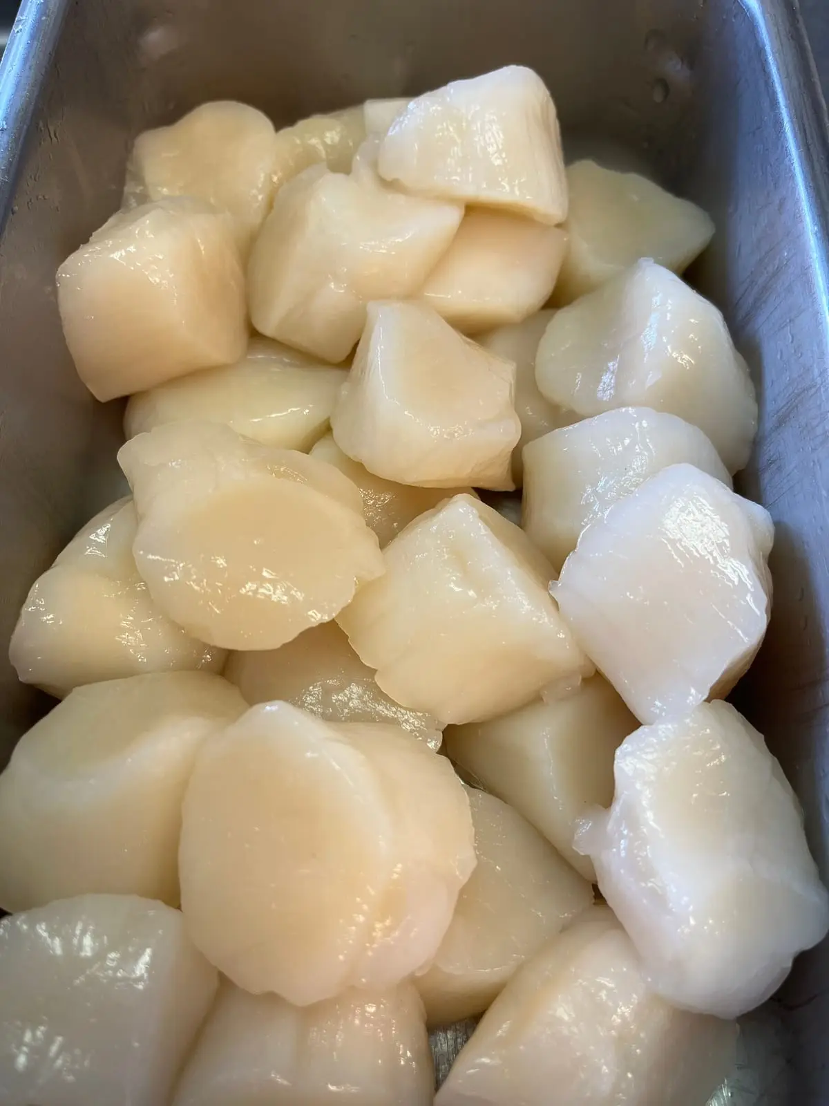 Fresh Atlantic sea scallops, never frozen, in a steel pan