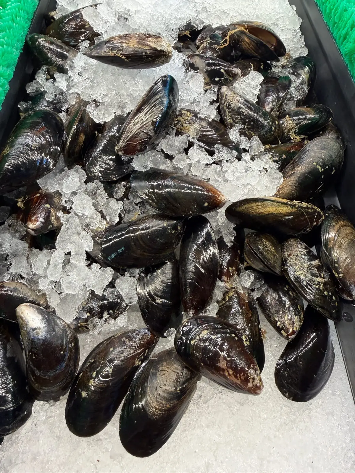 Live BC mussels on crushed ice