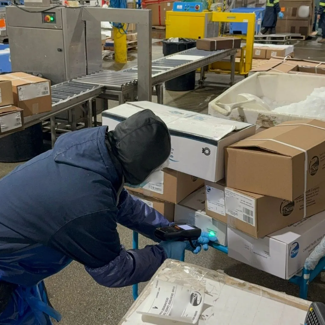 Scanning a barcode with an RF gun to pick a customer order in the warehouse