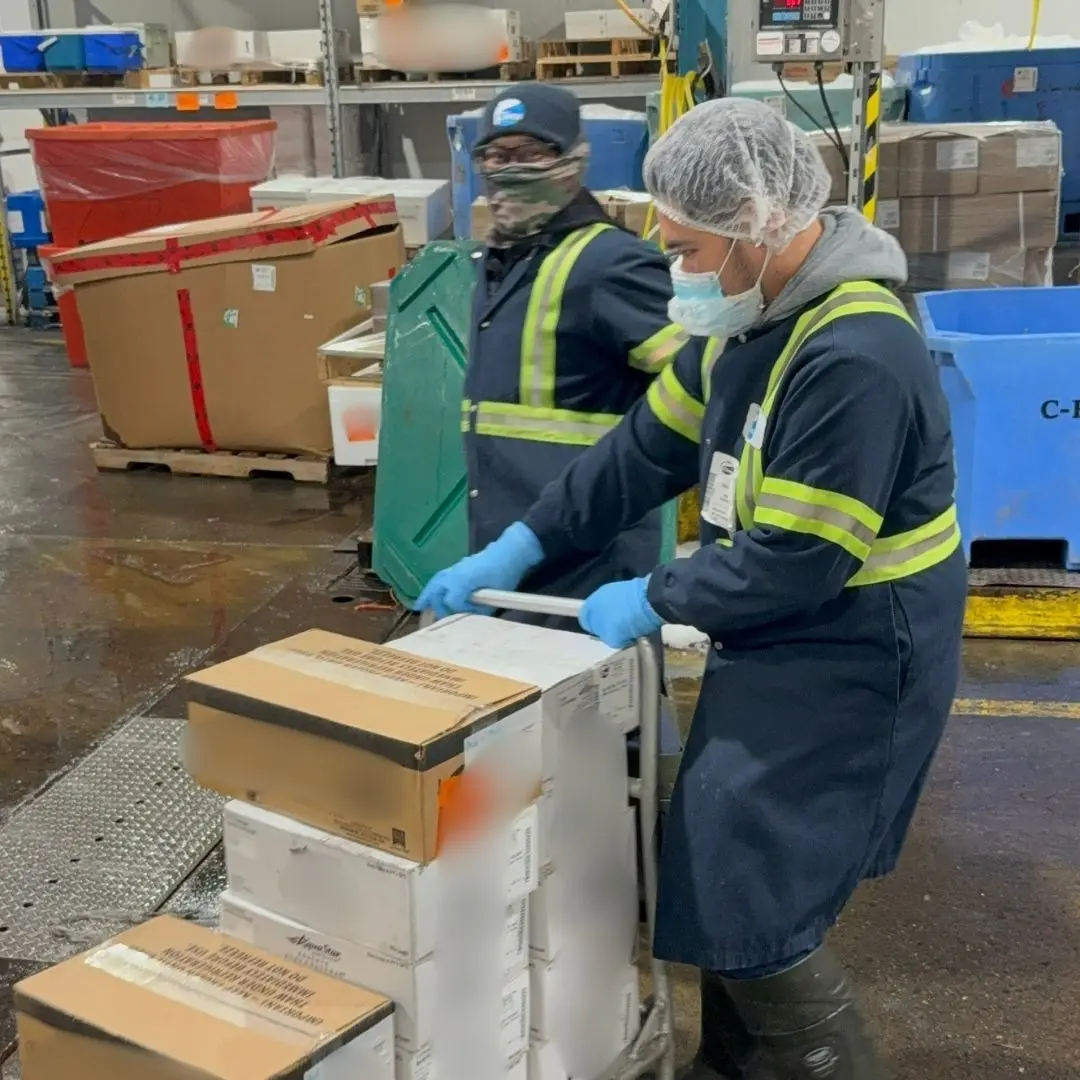 Order assembly team stacking packed boxes onto pallets