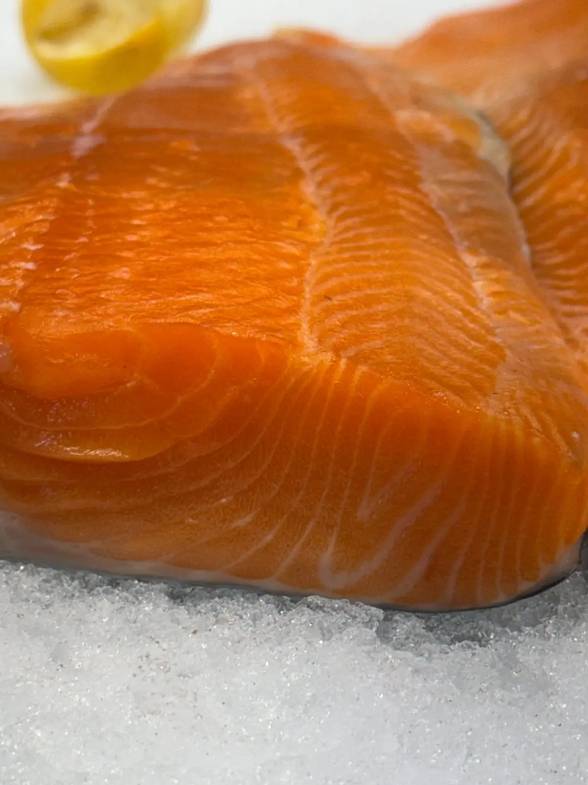 A thick organic king salmon fillet on ice, close up
