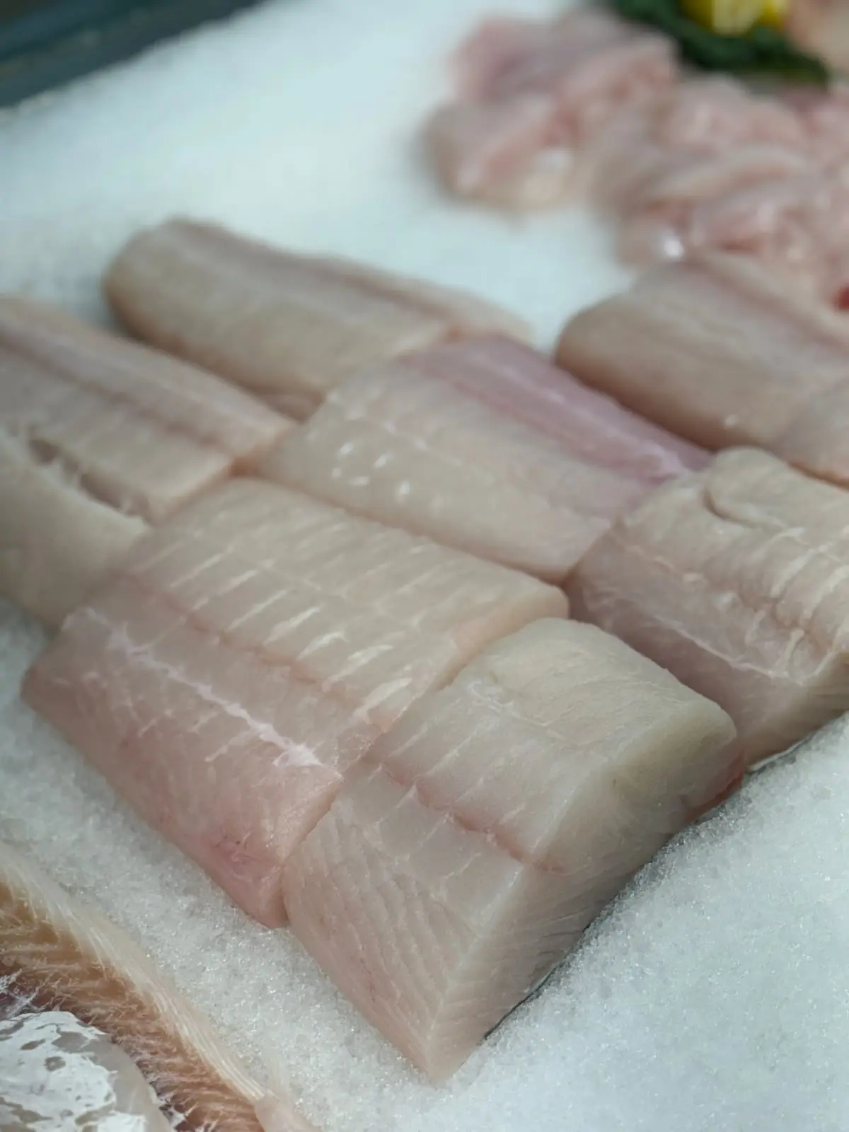 Pacific halibut portions, skin on, on ice