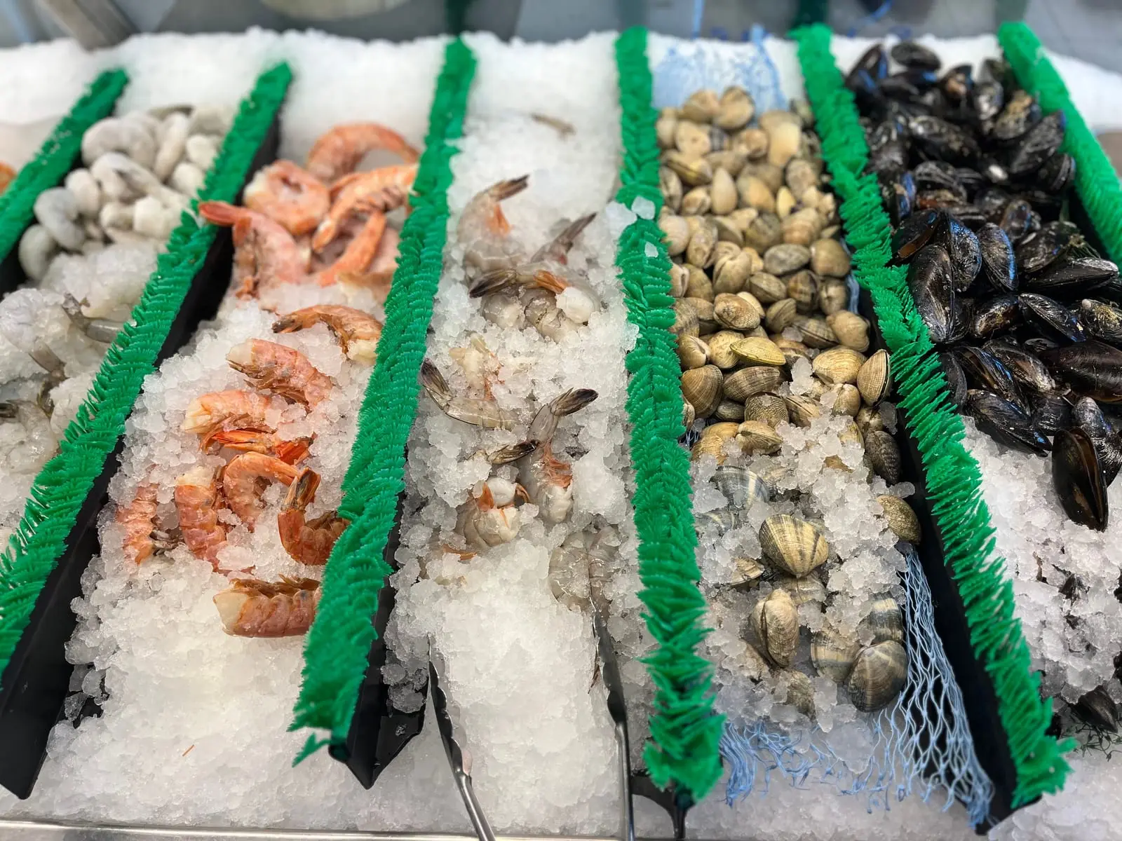 Prawns, clams and mussels in separate rows on crushed ice
