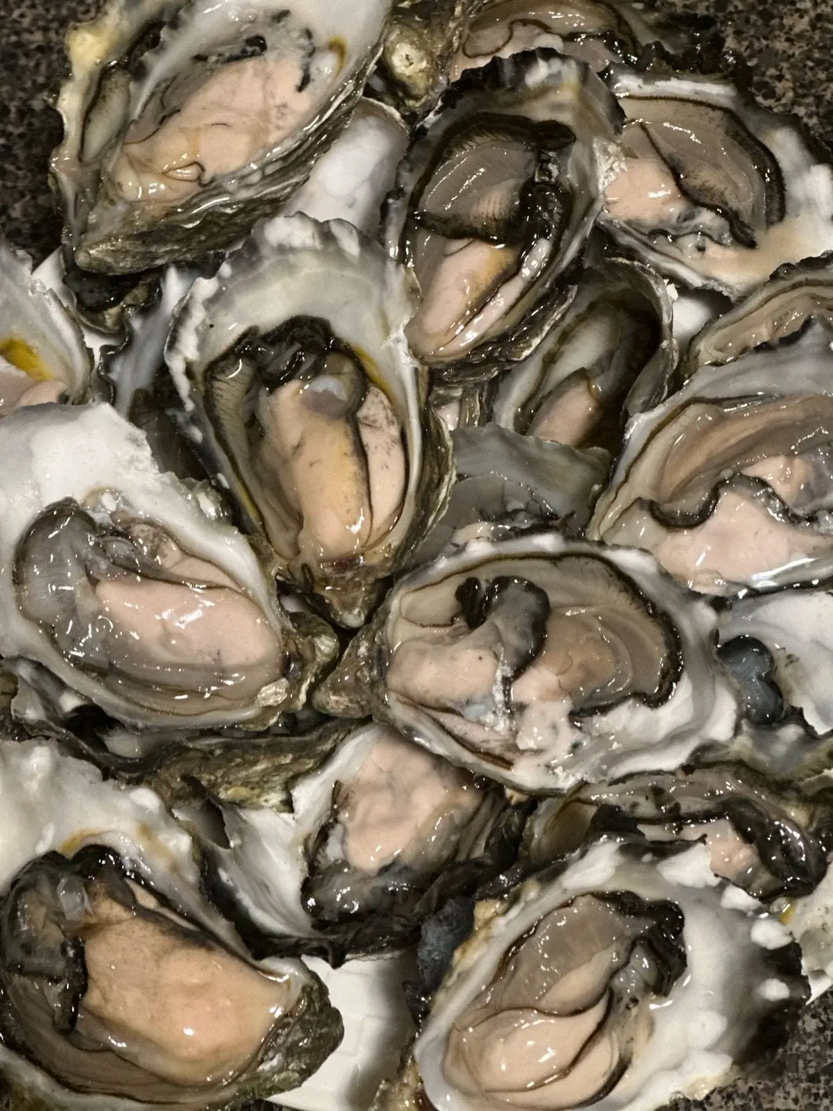Freshly shucked oysters on the half shell, close up