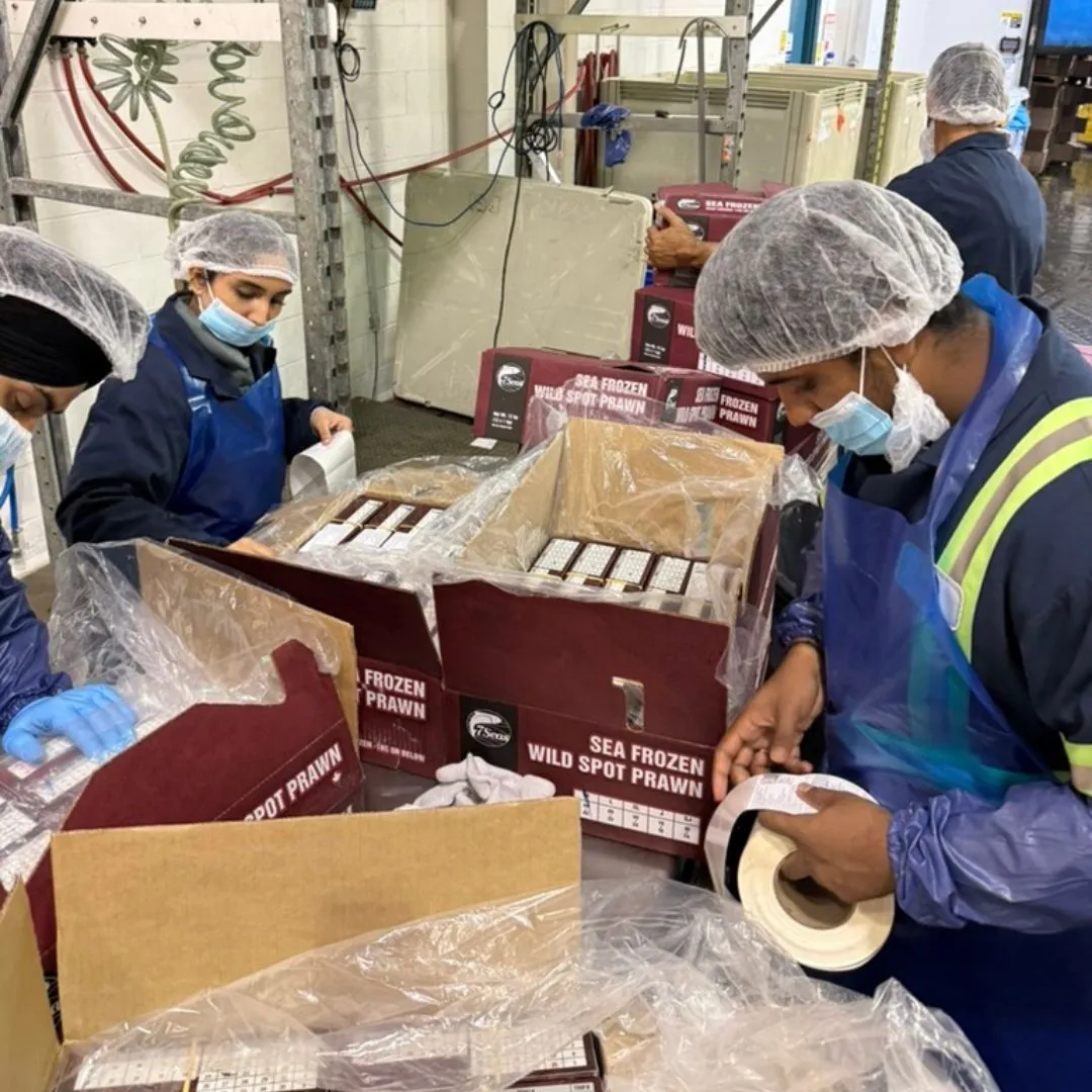 Retail cartons of 7 Seas sea-frozen wild spot prawns being labelled