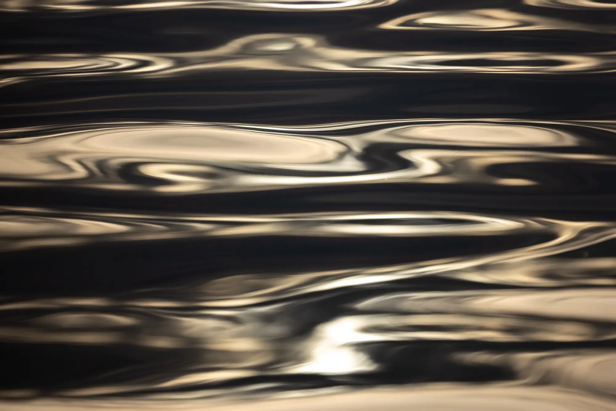 Golden evening light rippling across a dark water surface