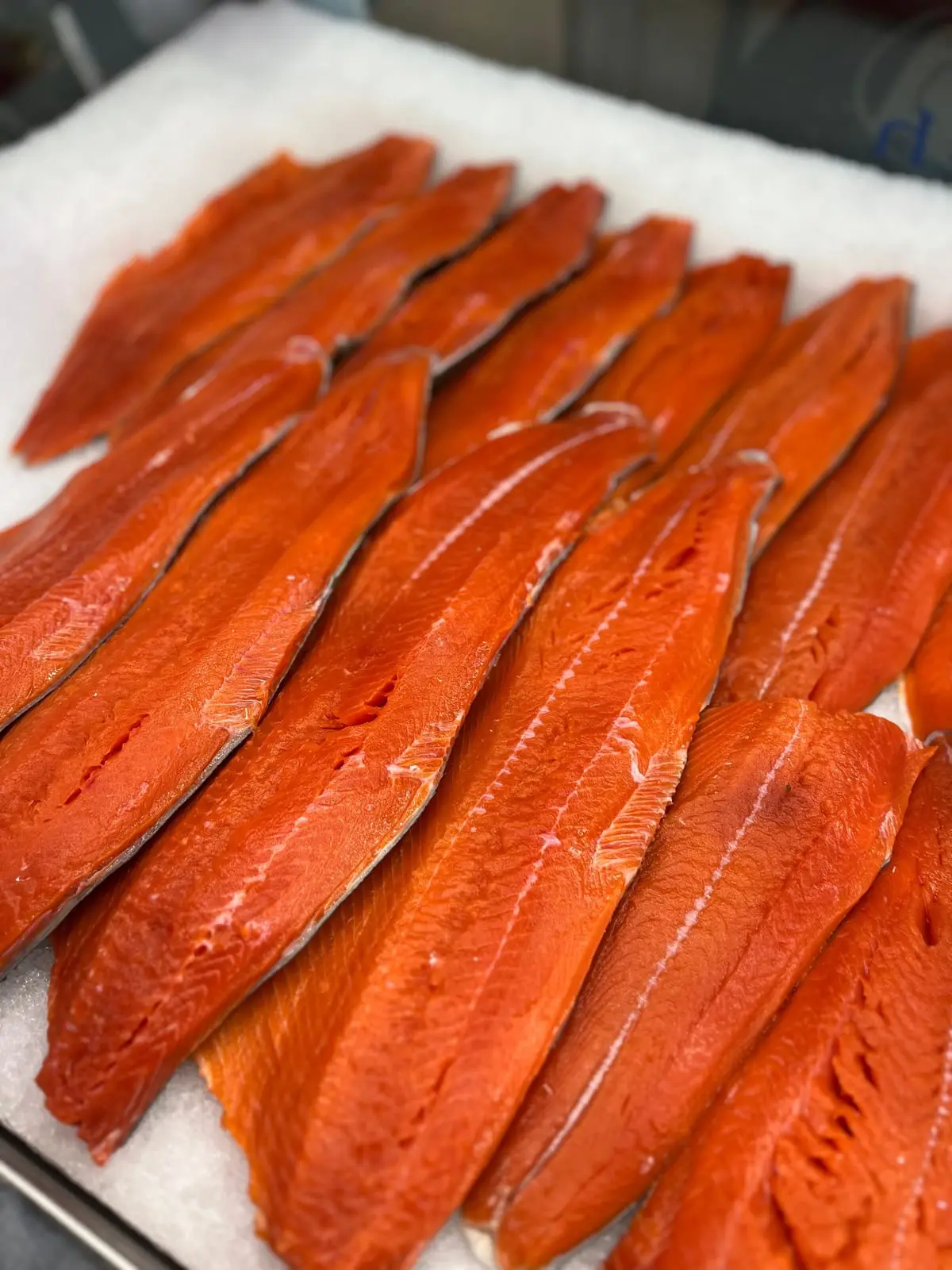 Wild sockeye salmon fillets, deep red, laid out on ice